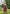 Scarlet Off-Shoulder Midi Dress