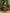 Scarlet Off-Shoulder Midi Dress